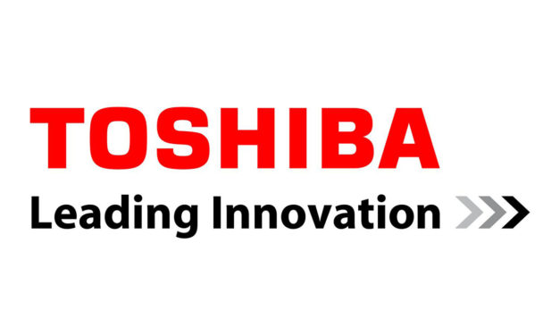 Toshiba’s Newly Developed Fully Isolated N-channel LDMOS Realizes High HBM Robustness and High Breakdown Voltage to Negative Bias in 0.13-Micron Generation Analog Power Semiconductors