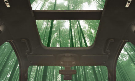What’s Super Strong, Fast Growing, and Potentially Part of  Your Next Car? Bamboo!