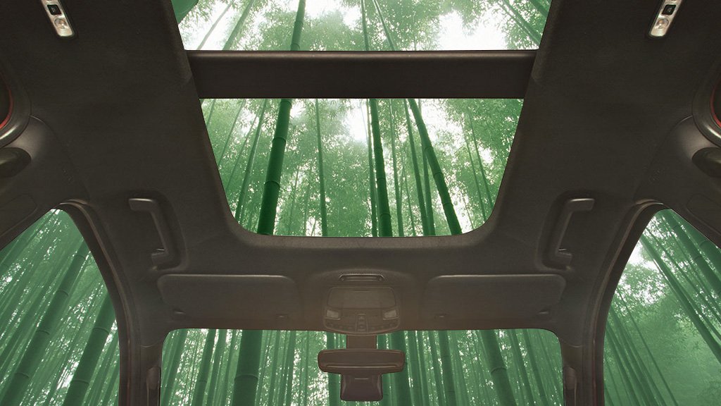 What’s Super Strong, Fast Growing, and Potentially Part of  Your Next Car? Bamboo!