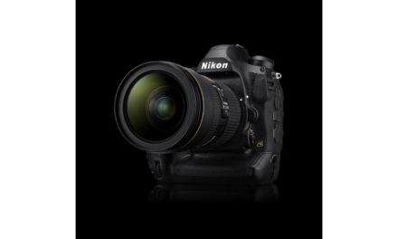 Be on top of the game with the flagship, Nikon D6