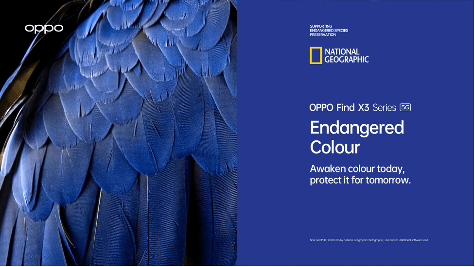OPPO launches ‘Endangered Colour’ campaign in partnership with the National Geographic Society
