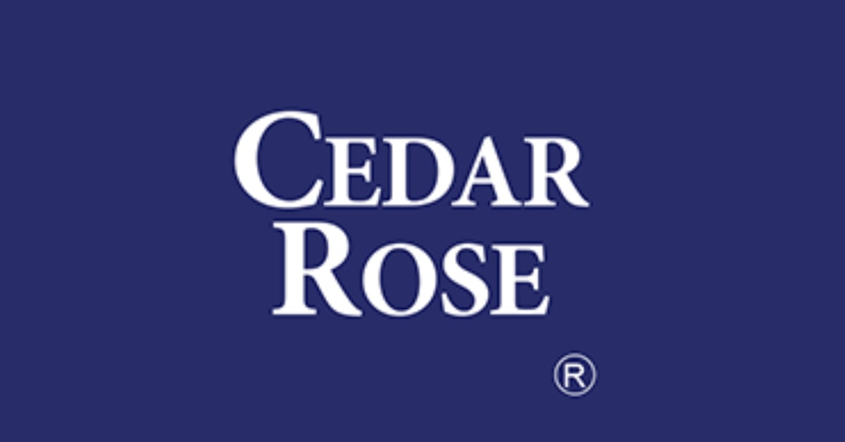 Leveraging on the Latest Technology Cedar Roseto provide Business Risk Assessment Solutions to iXerv