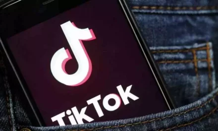 TikTok and WhatsApp – what were kids in Saudi Arabia interested in online this summer?
