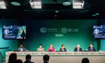 Winner in AI Solutions for Climate Change Competition Announced at COP28